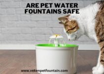 Are Pet Water Fountains Safe