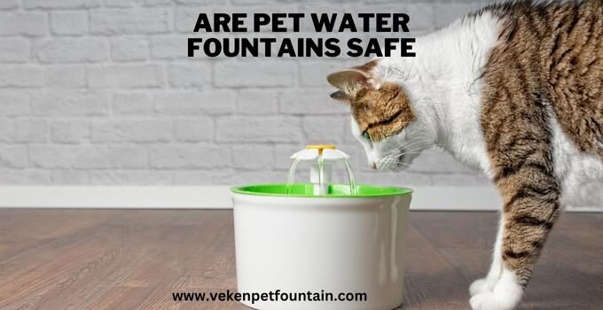 Are Pet Water Fountains Safe