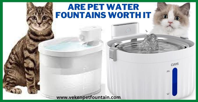 Catit water fountain review: A must-buy for cat owners - Reviewed