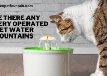 Are There Any Battery Operated Pet Water Fountains