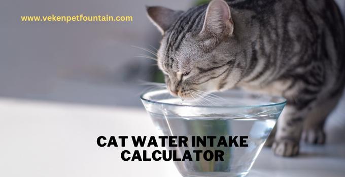 Cat Water Intake Calculator