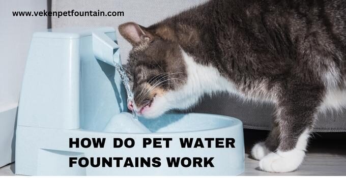 How Do Pet Water Fountains Work