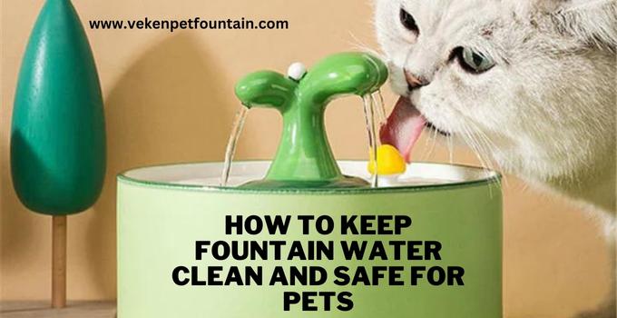How To Keep Fountain Water Clean and Safe For Pets