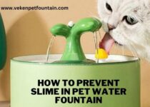 How To Prevent Slime in Pet Water Fountain