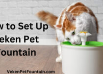 how to set up veken pet fountain