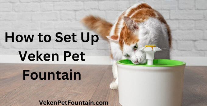 how to set up veken pet fountain