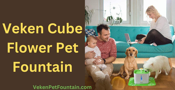 veken cube flower pet fountain